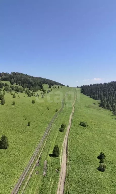 Участок в Алтай, Чемальский район, Элекмонарское с/пос, с. Элекмонар  ... - Фото 1