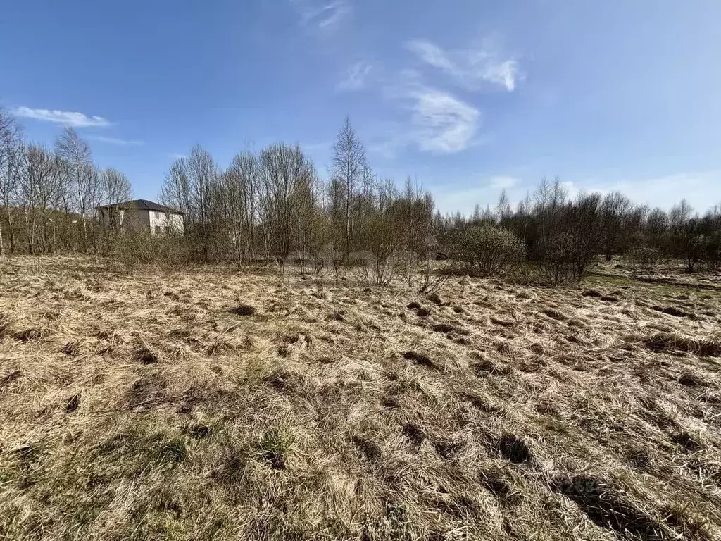 Участок в Смоленская область, Смоленский муниципальный округ, д. ... - Фото 2