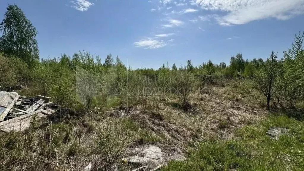 Участок в Тюменская область, Нижнетавдинский район, Сочинские СНТ 33-я ... - Фото 0