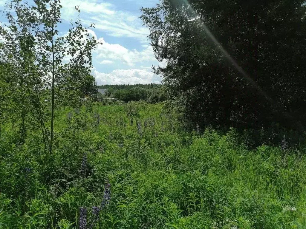 Участок в Владимирская область, Владимир пос. Сельцо, ул. Селецкая ... - Фото 1