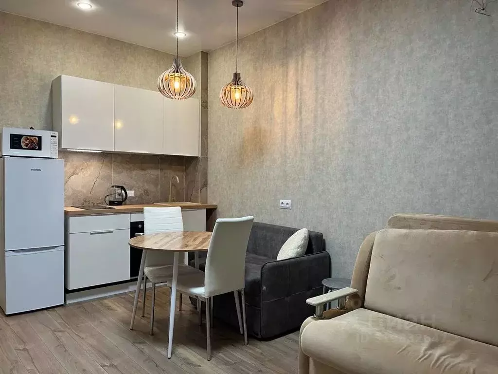Студия Краснодарский край, Сочи ул. Ленина, 290/7 (27.0 м) - Фото 0