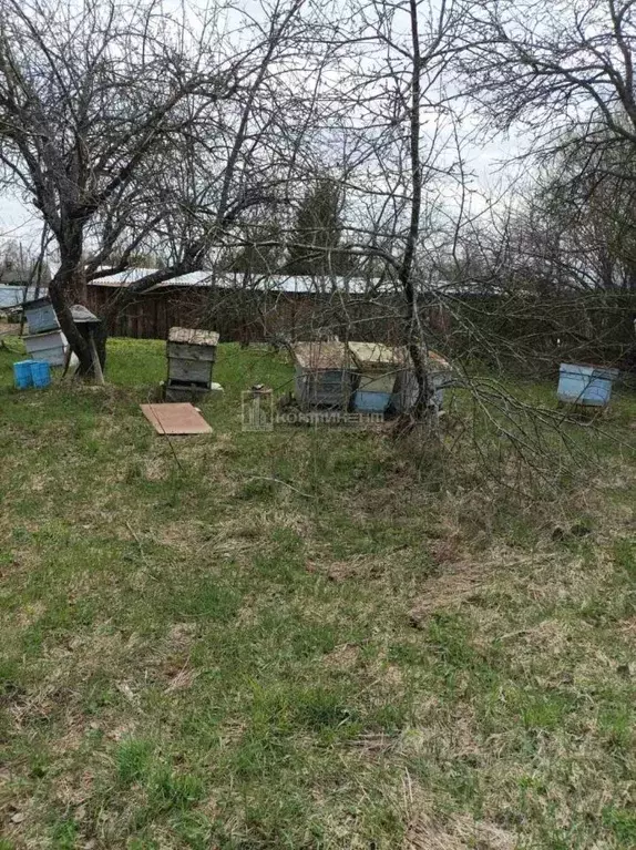 Дом в Владимирская область, Камешковский район, д. Сергеиха ул. ... - Фото 1