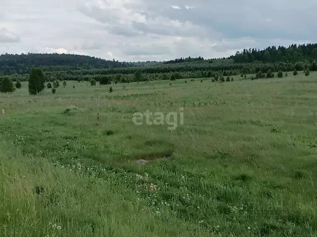 Участок в Иркутская область, Залари рп  (2000.0 сот.) - Фото 0