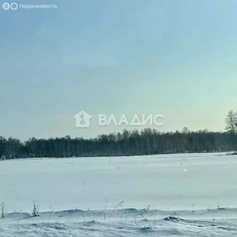 Участок в Московская область, муниципальный округ Шаховская, деревня ... - Фото 1