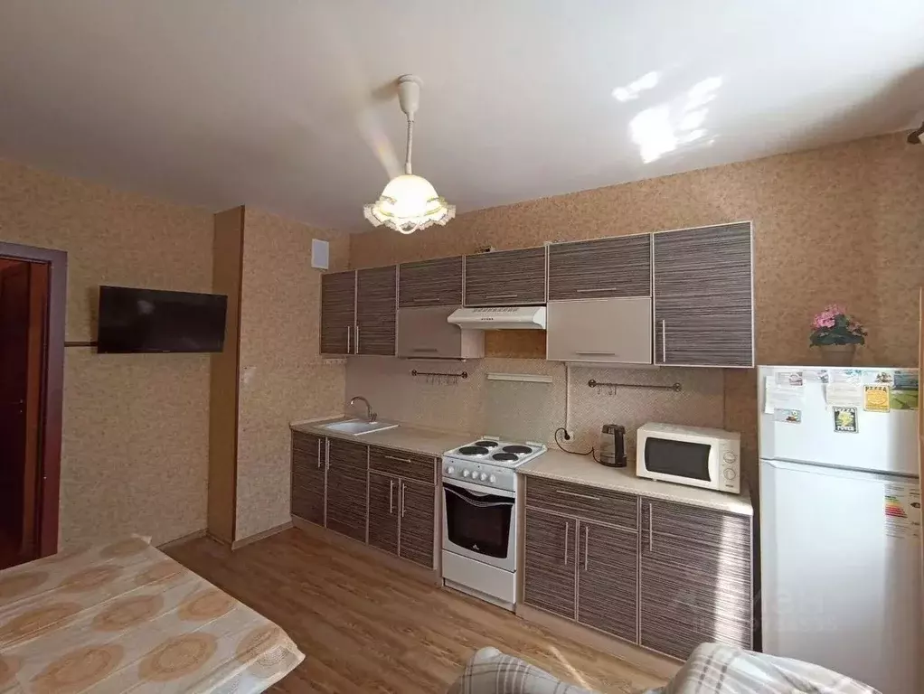 1-к кв. Санкт-Петербург пос. Парголово, ул. Михаила Дудина, 25к2 (38.0 ... - Фото 2
