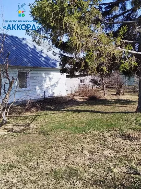 Дом в Алтайский край, Косихинский район, пос. Логовое ул. Центральная ... - Фото 2