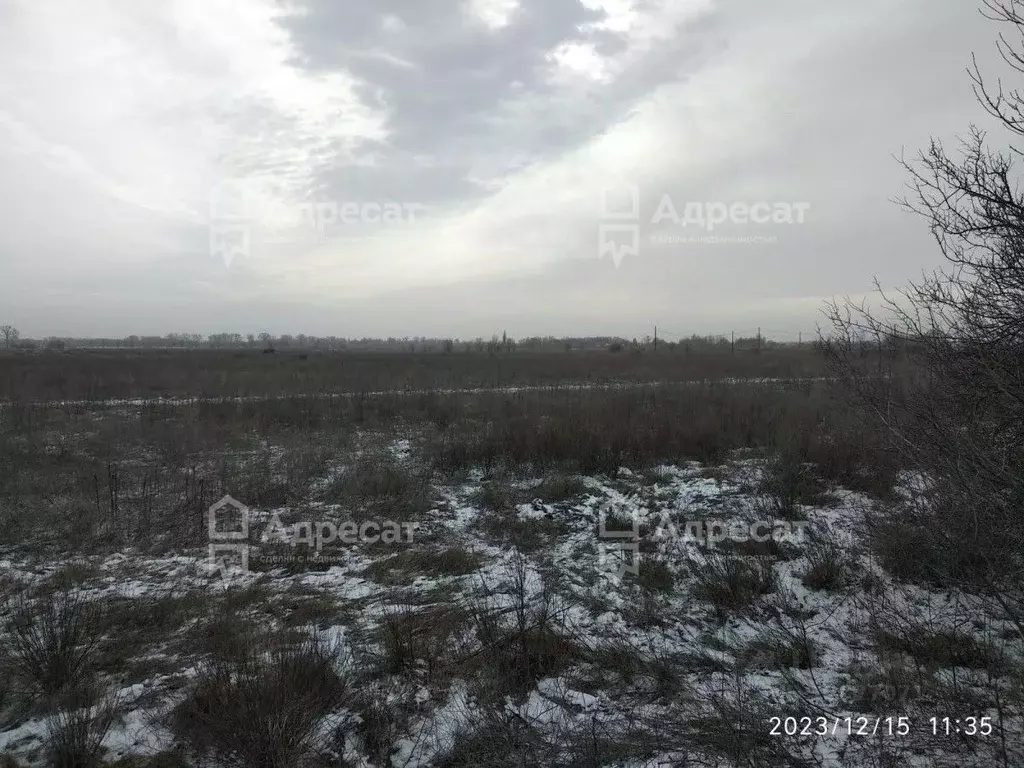 Участок в Волгоградская область, Среднеахтубинский район, Кировское ... - Фото 1