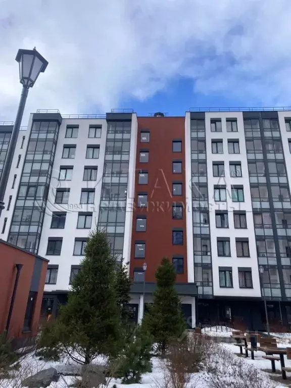 Студия Санкт-Петербург просп. Буденного, 19к1 (24.3 м) - Фото 1