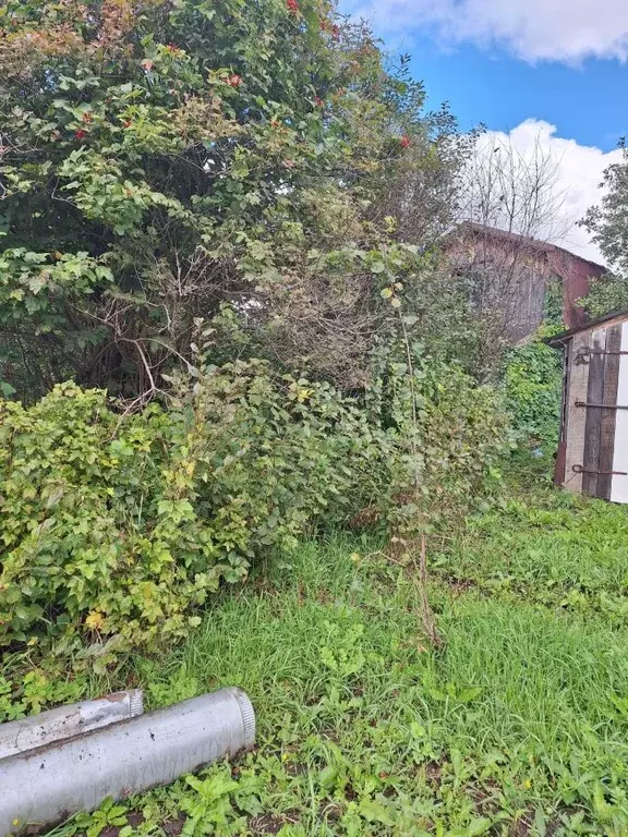 Дом в Пермский край, Чайковский ул. Азина, 43А (20 м) - Фото 1