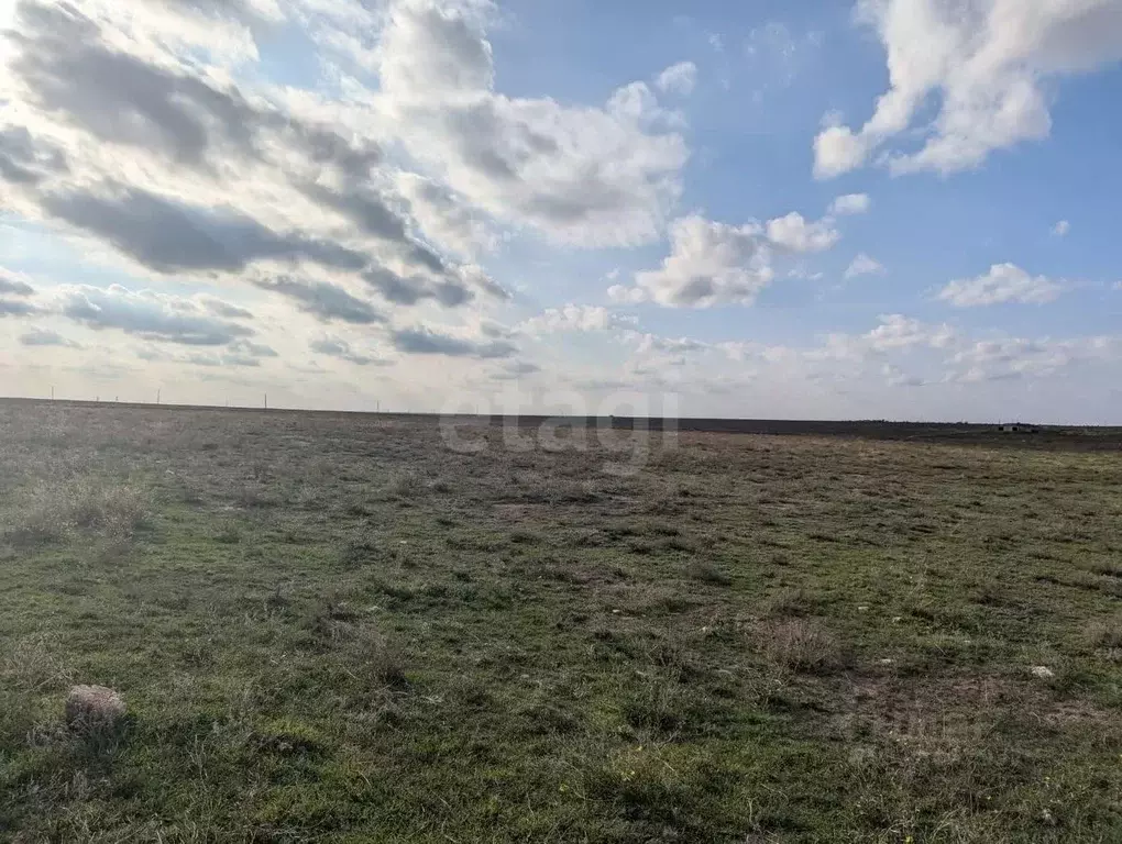 Участок в Крым, Сакский район, с. Молочное  (6.0 сот.) - Фото 0
