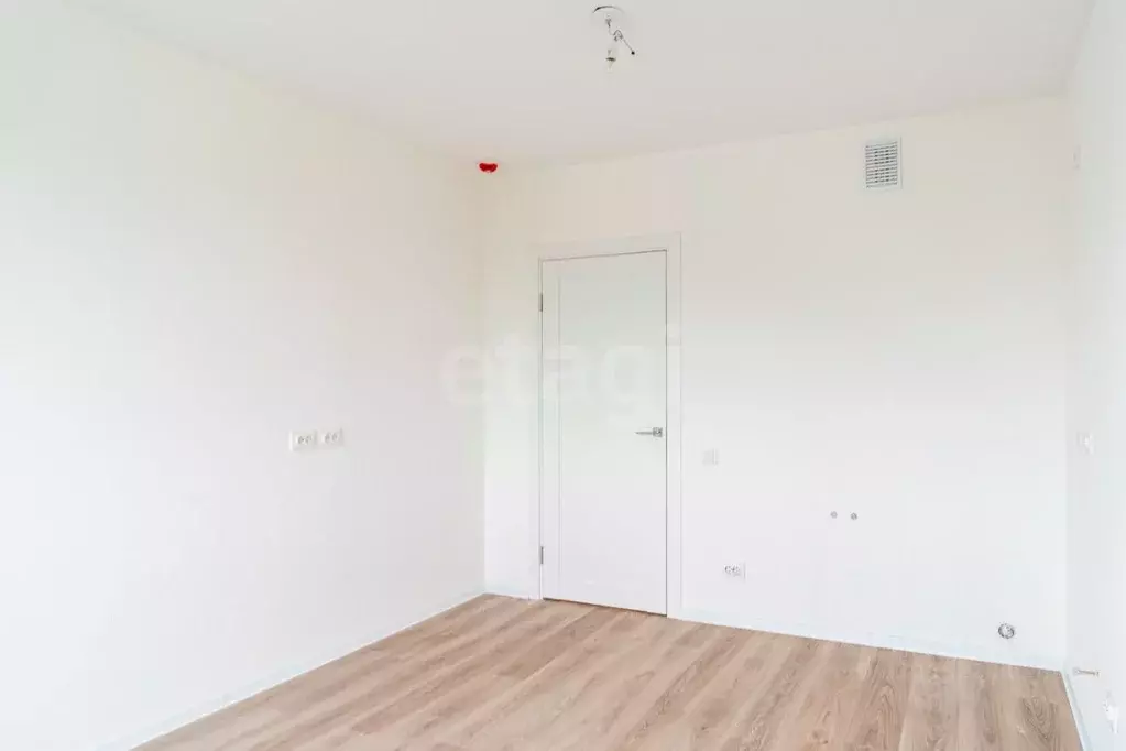 Студия Санкт-Петербург ул. Пахомовская, 18к2 (20.0 м) - Фото 1