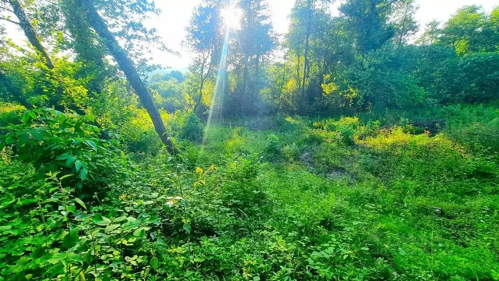 Участок в Краснодарский край, Сочи Малый Ахун мкр, ул. Дорога на ... - Фото 1