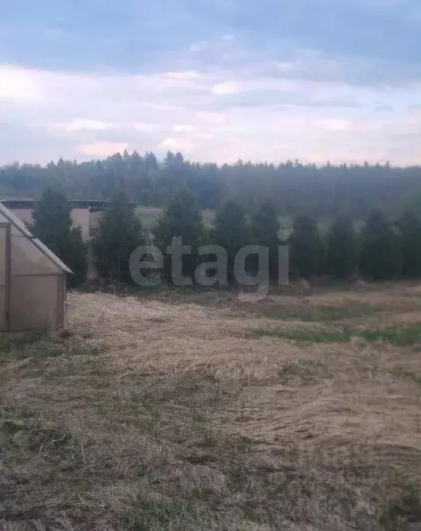 Участок в Московская область, Солнечногорск городской округ, д. Новый ... - Фото 2