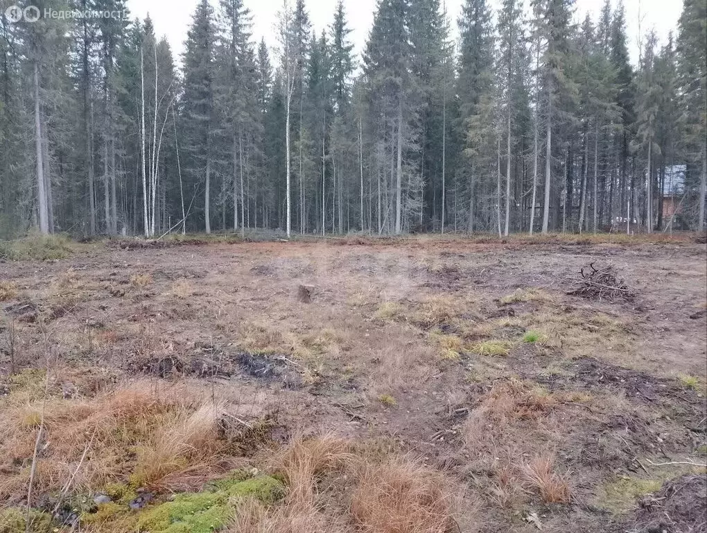 Участок в Сыктывкар, Сиреневая улица (7 м) - Фото 2