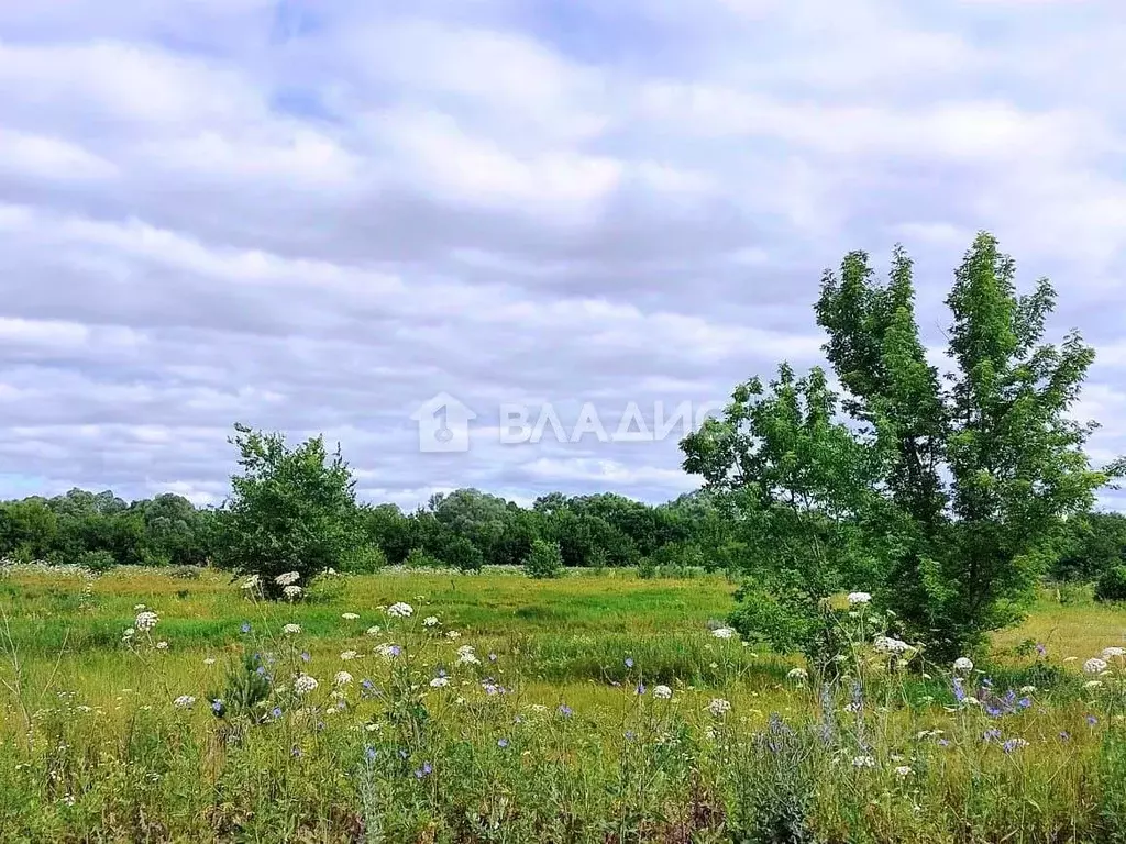 Участок в Пензенская область, Бессоновский район, Кристалл СНТ  (5.2 ... - Фото 0