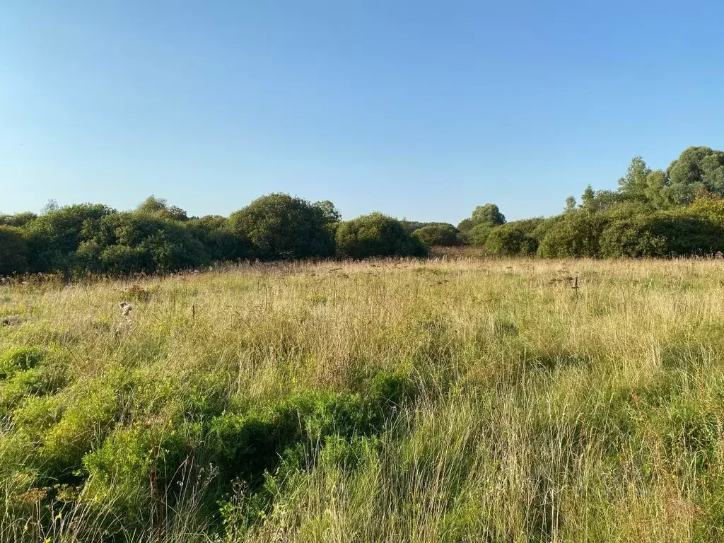 Участок в Калужская область, Боровский муниципальный округ, ... - Фото 1