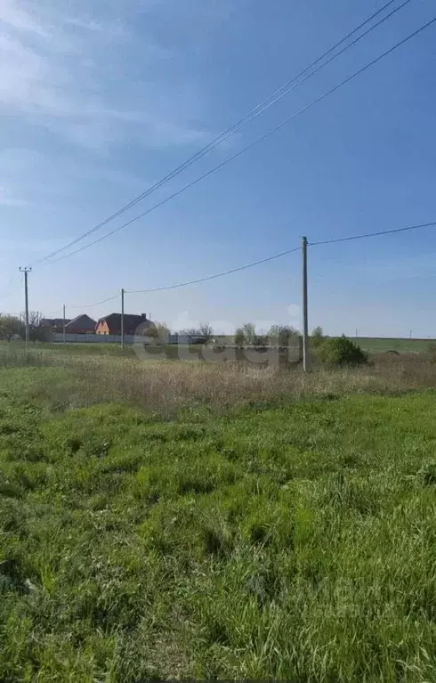 Участок в Ростовская область, Неклиновский район, с. Синявское ул. ... - Фото 0
