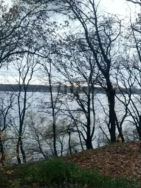 Участок в Воронеж, улица Волкова (6.97 м) - Фото 1