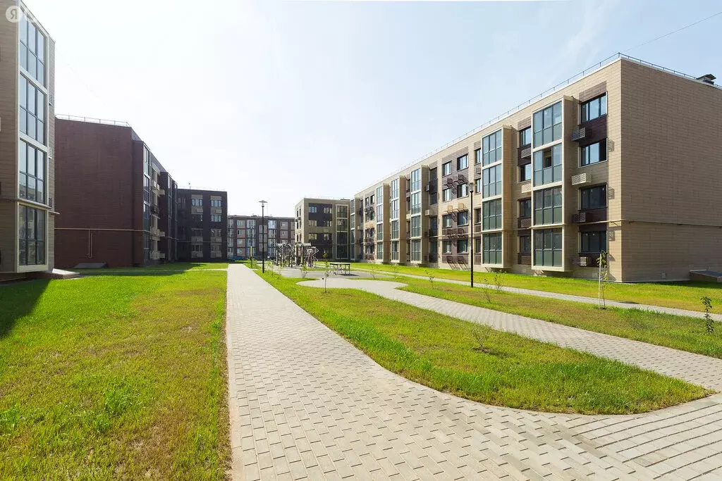 2-комнатная квартира: деревня Сухарево, улица Пацейко, 7 (54 м) - Фото 2