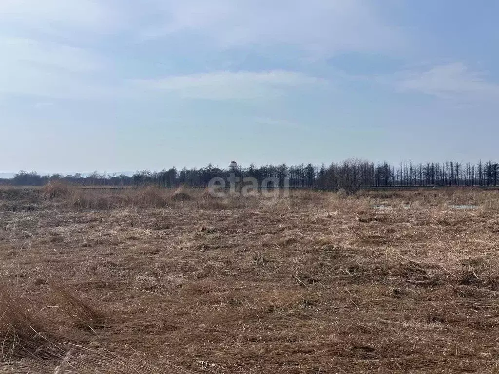 Участок в Сахалинская область, Южно-Сахалинск Лиственничное п/р,  ... - Фото 0