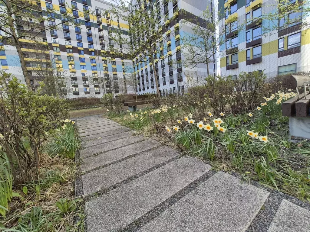 1-к кв. Москва Варшавское ш., 141к12 (47.4 м) - Фото 2