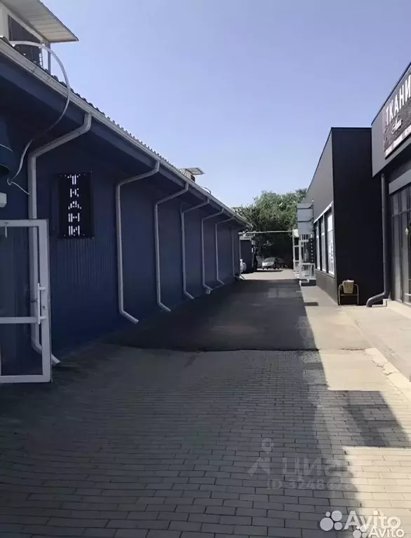 Торговая площадь в Краснодарский край, Краснодар Центральный мкр, ул. ... - Фото 2