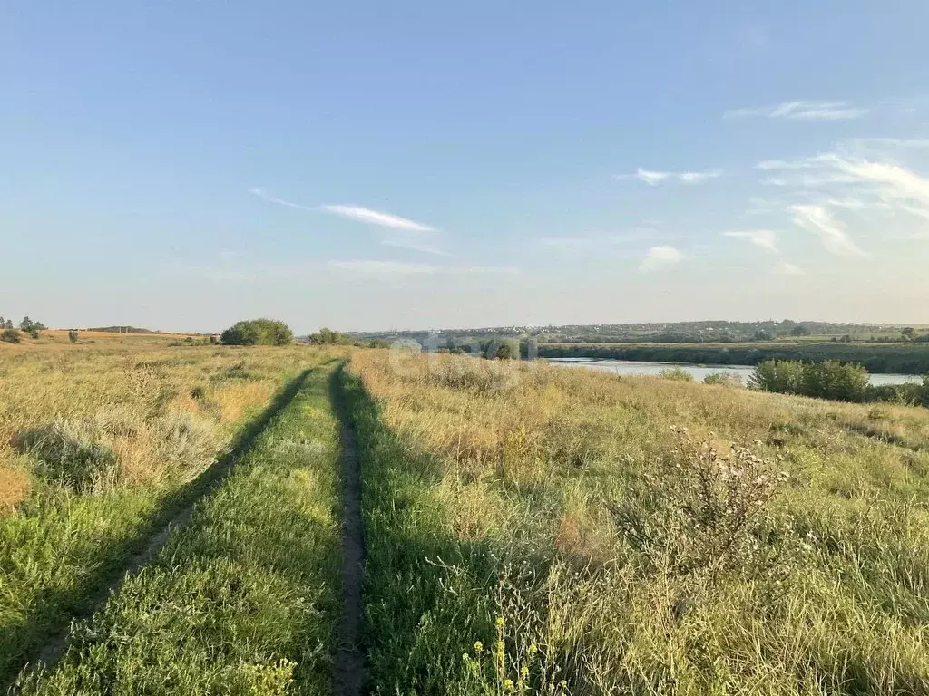 Участок в Воронежская область, Рамонский район, с. Горожанка ... - Фото 1