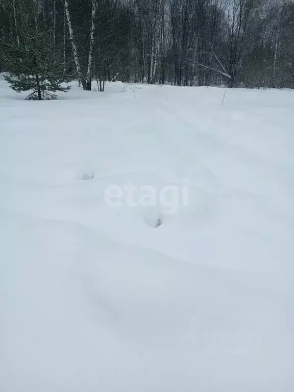 Участок в Смоленская область, Смоленск Озерная ул. (10.5 сот.) - Фото 0