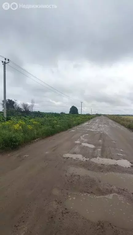 Участок в Гостилицкое сельское поселение, коттеджный посёлок Медовая ... - Фото 1