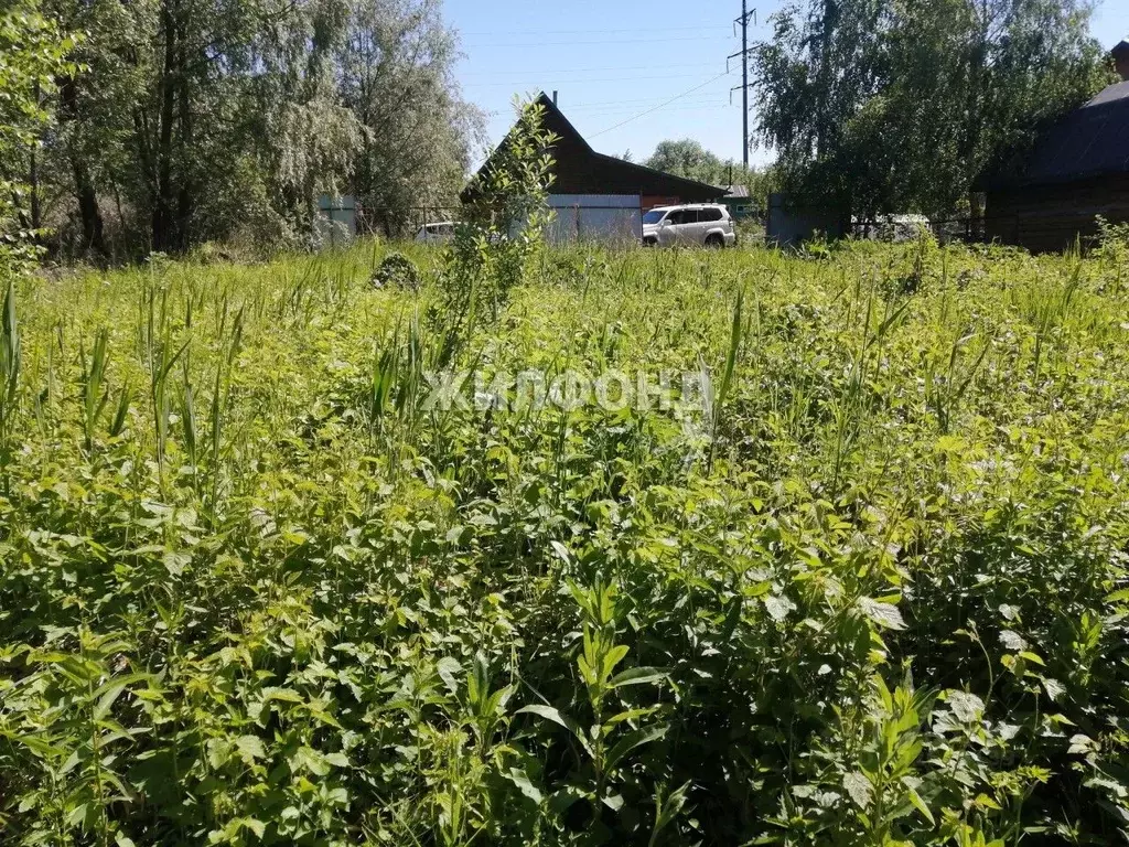 Участок в Новосибирская область, Новосибирский район, Кудряшовский ... - Фото 0