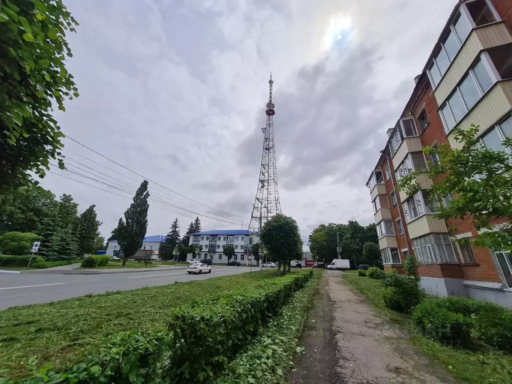 Помещение свободного назначения в Чувашия, Чебоксары ул. Чапаева, 24 ... - Фото 2