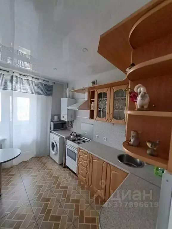 1-к кв. Калининградская область, Светлогорск Фруктовая ул., 11 (42.0 ... - Фото 1