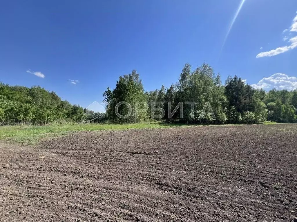 Участок в Тюменская область, Тюменский муниципальный округ, с. Кулига, ... - Фото 2