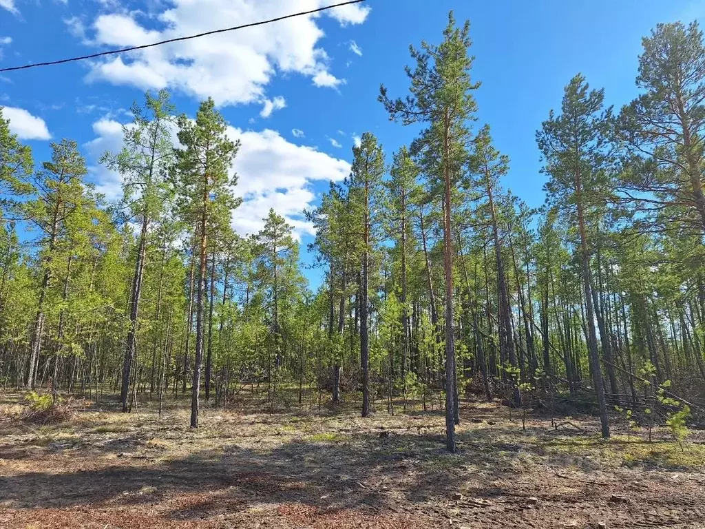 Участок в Саха (Якутия), Мегино-Кангаласский улус, Нижний Бестях пгт, ... - Фото 2