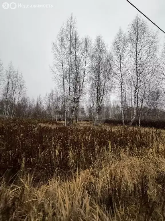 Участок в Тульская область, городской округ Тула, деревня Новосёлки ... - Фото 2