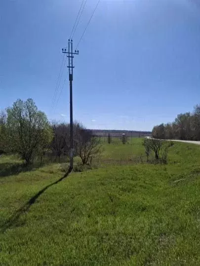 Участок в Белгородская область, Белгородский муниципальный округ, с. ... - Фото 1