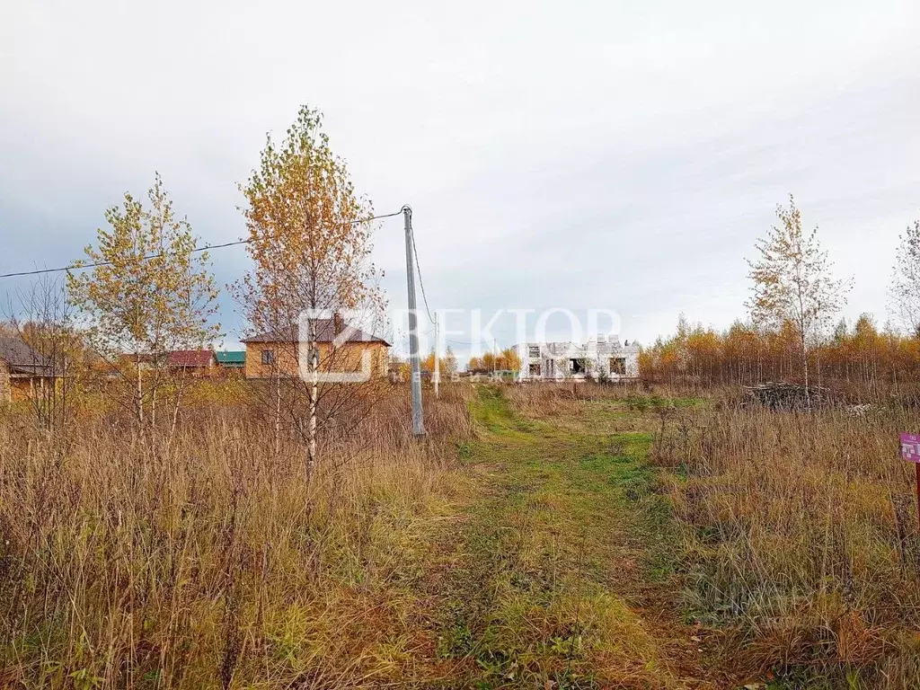 Участок в Костромская область, Костромской район, Самсоновское с/пос, ... - Фото 2