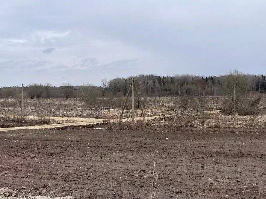 Участок в Ленинградская область, Киришский район, Пчевское с/пос, д. ... - Фото 2