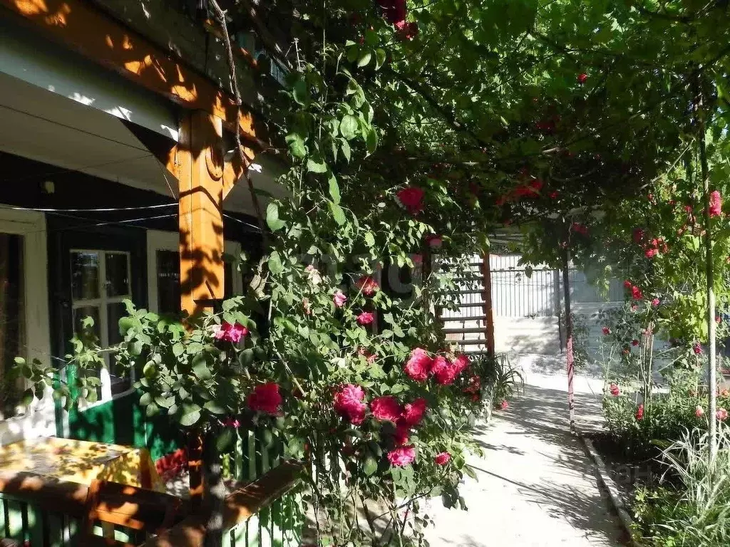 Участок в Краснодарский край, Геленджик городской округ, с. ... - Фото 1