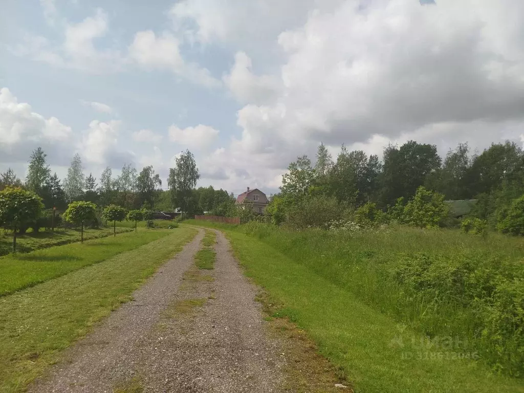 Участок в Новгородская область, Новгородский район, Борковское с/пос, ... - Фото 1