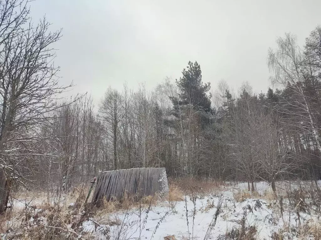 Участок в Московская область, Ликино-Дулево Орехово-Зуевский городской ... - Фото 0