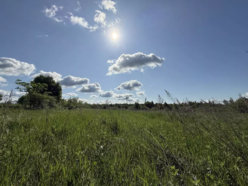 Участок в Ярославская область, Переславль-Залесский муниципальный ... - Фото 2