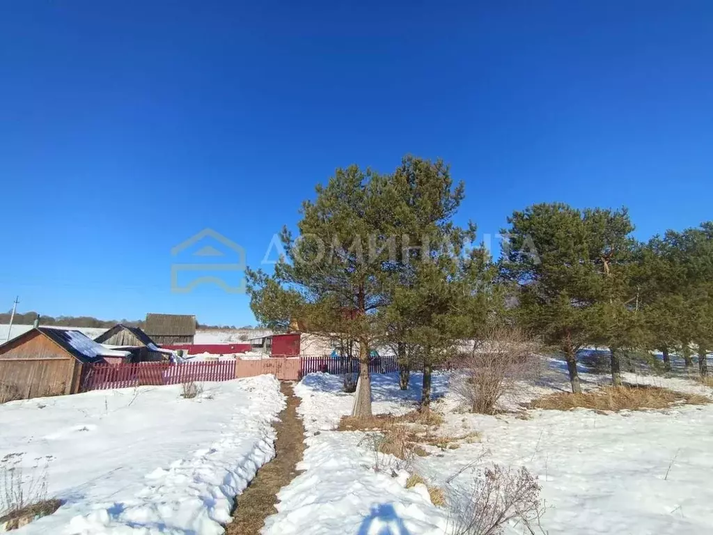 Дом в Смоленская область, Кардымовский муниципальный округ, д. ... - Фото 2