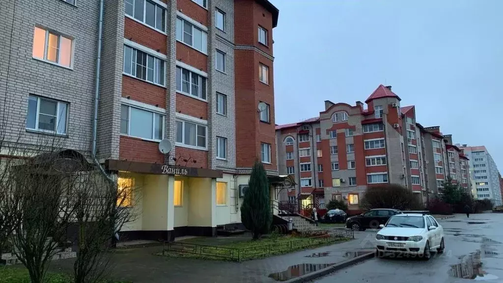 Торговая площадь в Новгородская область, Великий Новгород ул. Якова ... - Фото 1