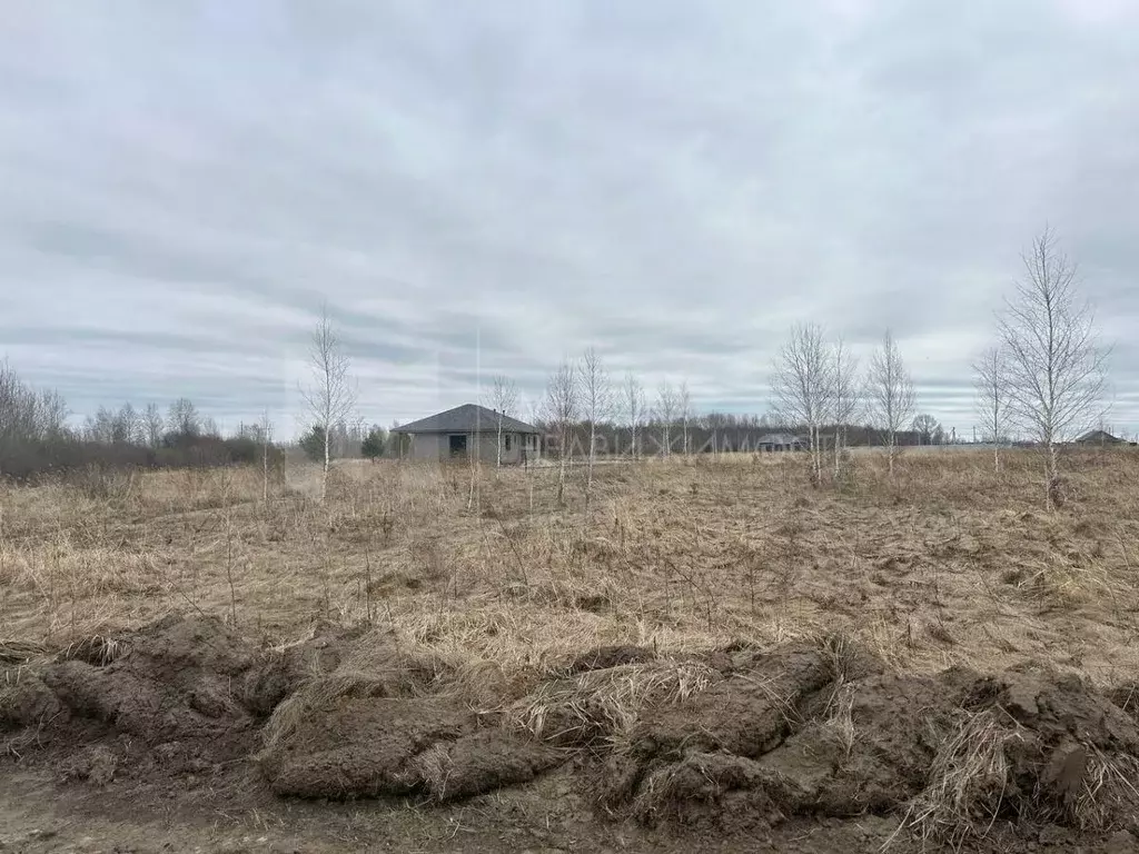 Участок в Тюменская область, Тюменский муниципальный округ, с. Борки ... - Фото 1