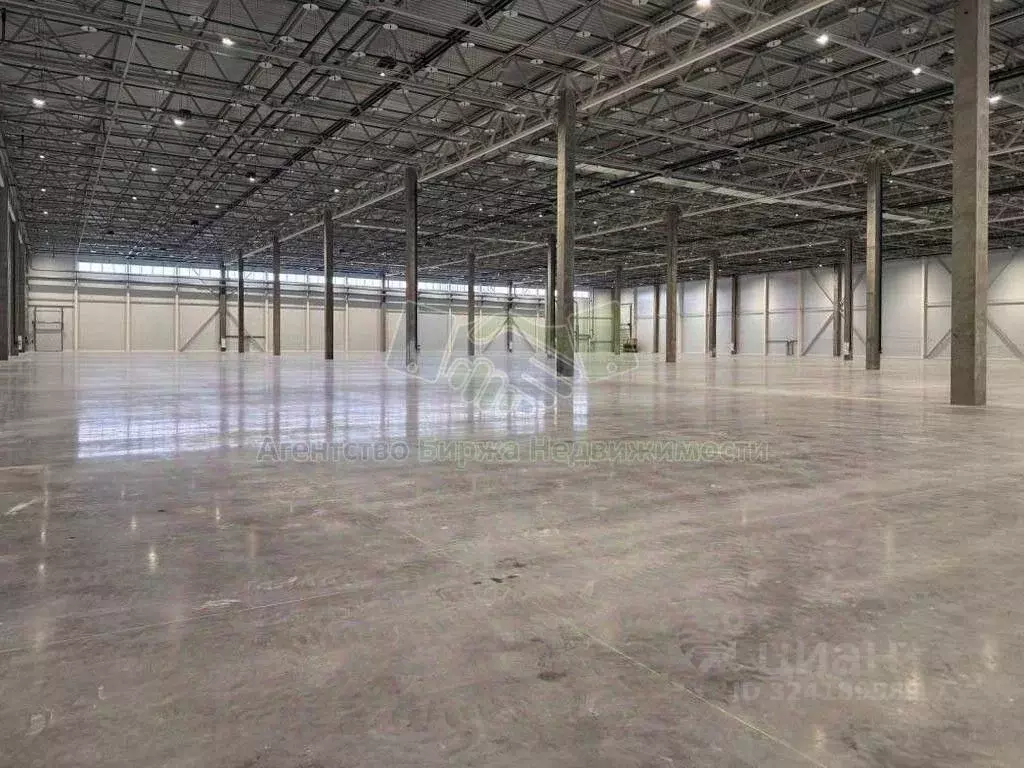 Склад в Новосибирская область, Обь тракт Омский, 2/3 (15150 м) - Фото 2