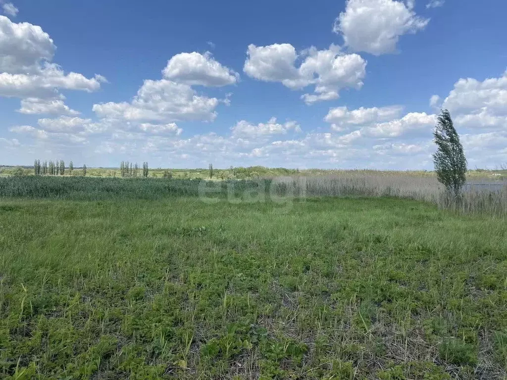 Участок в Ростовская область, Неклиновский район, Самбекское с/пос, ... - Фото 1
