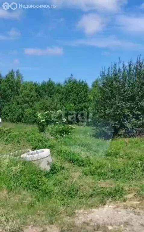 Участок в Калининградская область, Гурьевский муниципальный округ, ... - Фото 0