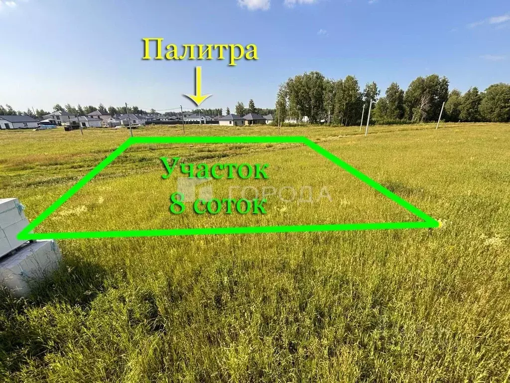 Участок в Алтайский край, Первомайский район, с. Фирсово, Рощино мкр ... - Фото 1