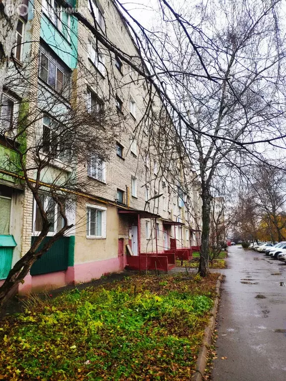 1-комнатная квартира: Строитель, микрорайон Северный, 39 (33.1 м) - Фото 2